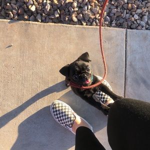 Meet your Posher, Diamond